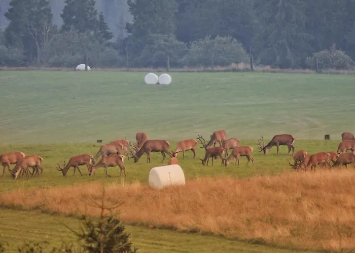 Via Bieszczady