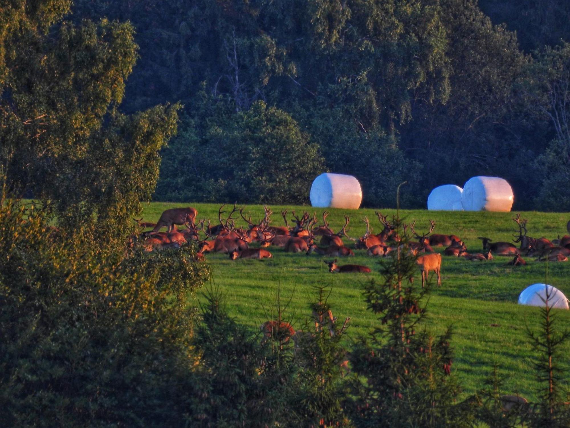 Via Bieszczady Holiday home Michniowiec